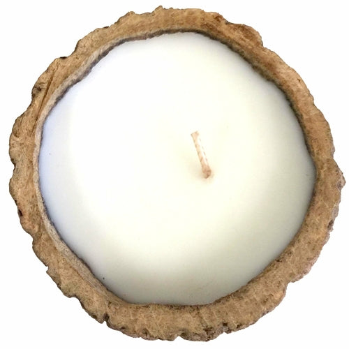 Exotic Brazil Nut Candles