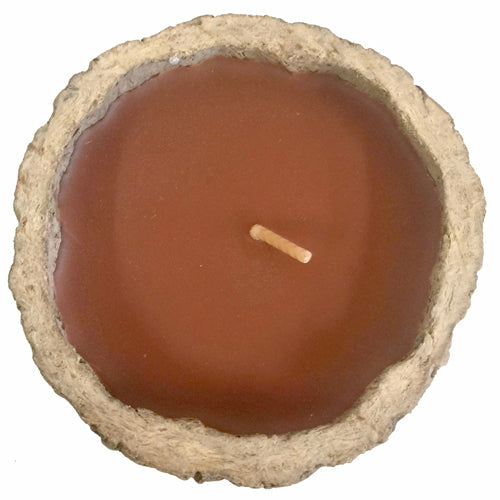 Exotic Brazil Nut Candles