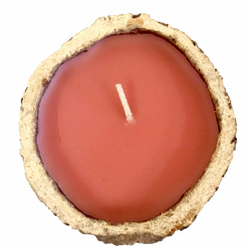 Exotic Brazil Nut Candles