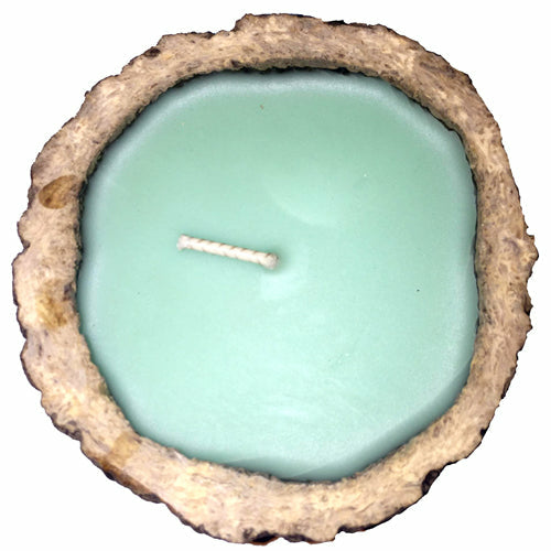Exotic Brazil Nut Candles