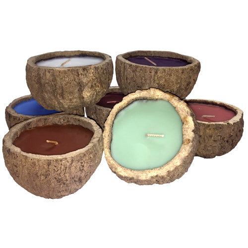 Exotic Brazil Nut Candles