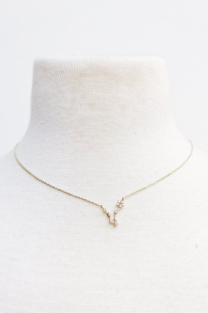 Zodiac  Necklace