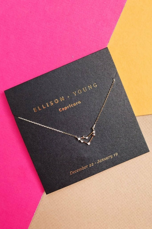 Zodiac  Necklace